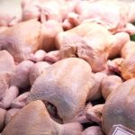 تركيا تعتزم تصدير 20 ألف طن دجاج إلى روسيا