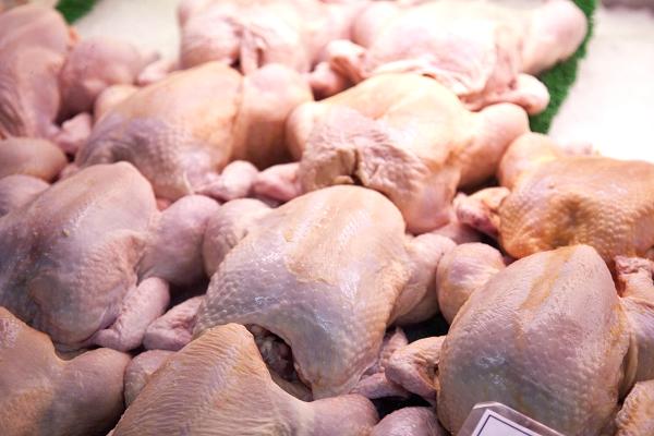 تركيا تعتزم تصدير 20 ألف طن دجاج إلى روسيا